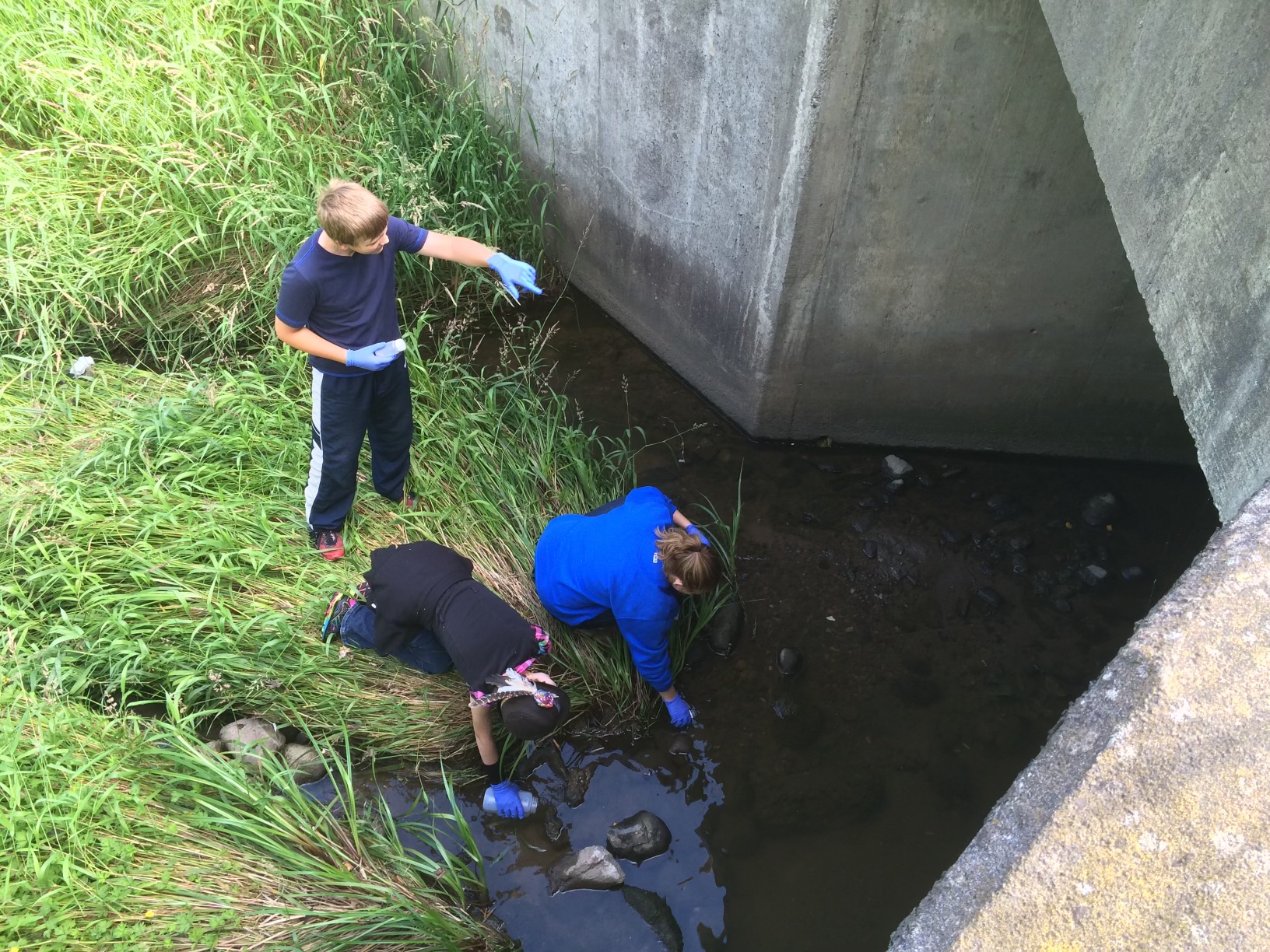 Environmental Sciences