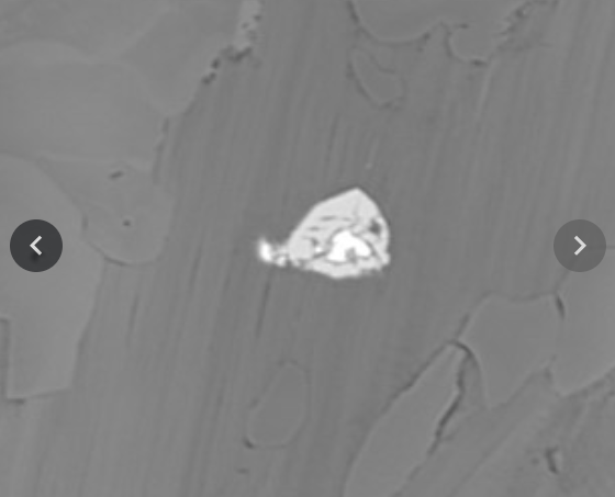 Backscatter 3