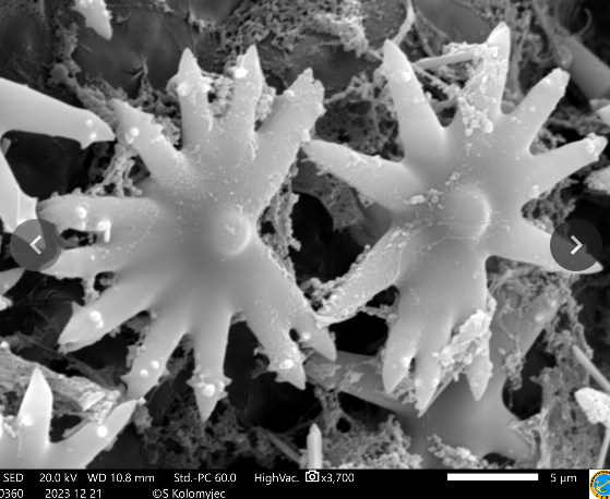Electron 1