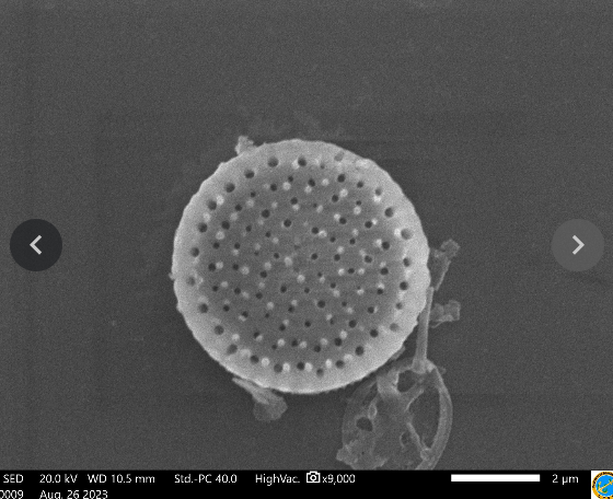 Electron 7