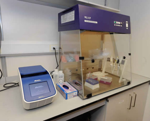 Thermocycler for Polymerase Chain Reaction: Amplification of DNA and RNA for separation by gel electrophoresis