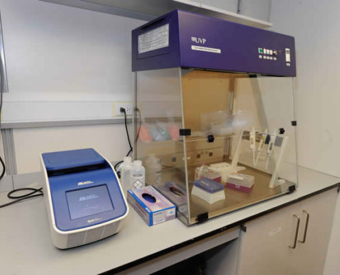 Thermocycler for Polymerase Chain Reaction: Amplification of DNA and RNA for separation by gel electrophoresis