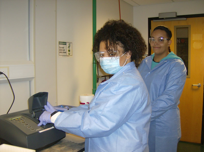Microbiology students practicing techniques for counting bacteria