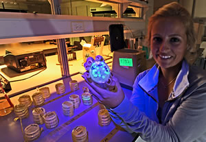 Halley Borseth in Forensic Chemistry lab