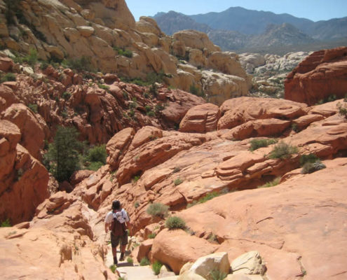 Students at Spring Mountains Nevada