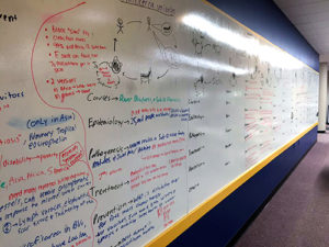 Library Whiteboard Wall