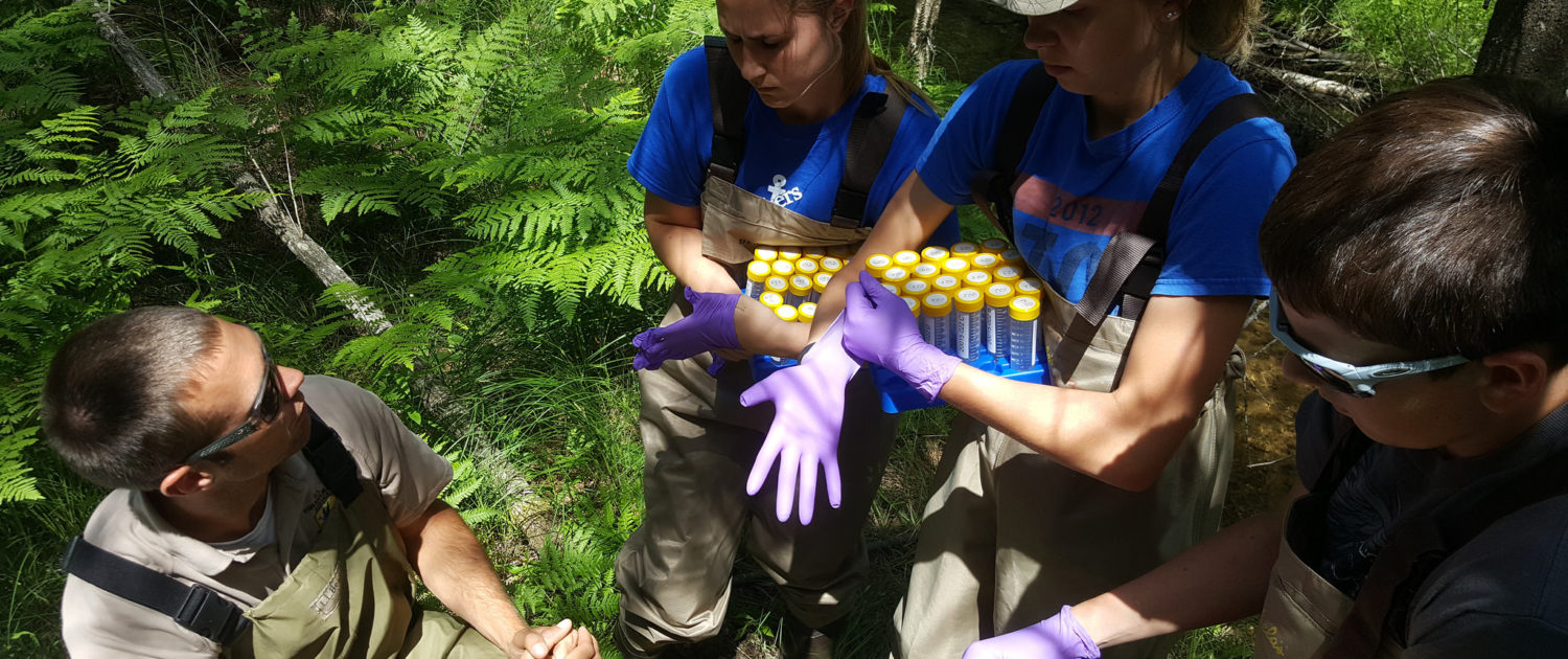 LSSU Summer Camp DNA Sample