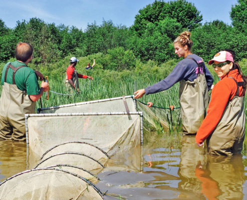 Students Get their Feet Wet