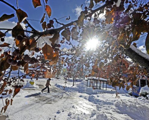 Sunshine brightens a winter day on the LSSU campus