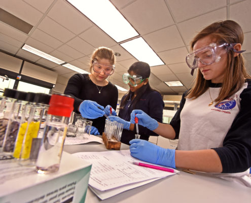 Students apply their learning in labs