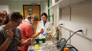 Experimenting in the labs on campus