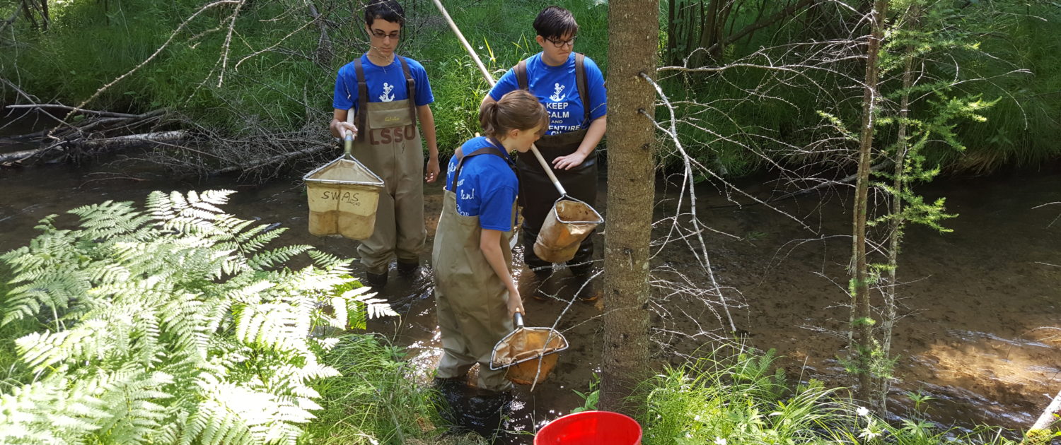 Collecting samples for the Aquatic Ecology Camp