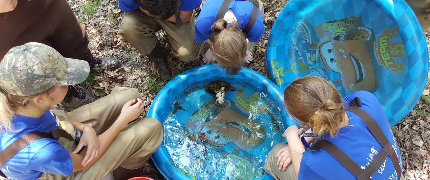 Looking at the samples collected