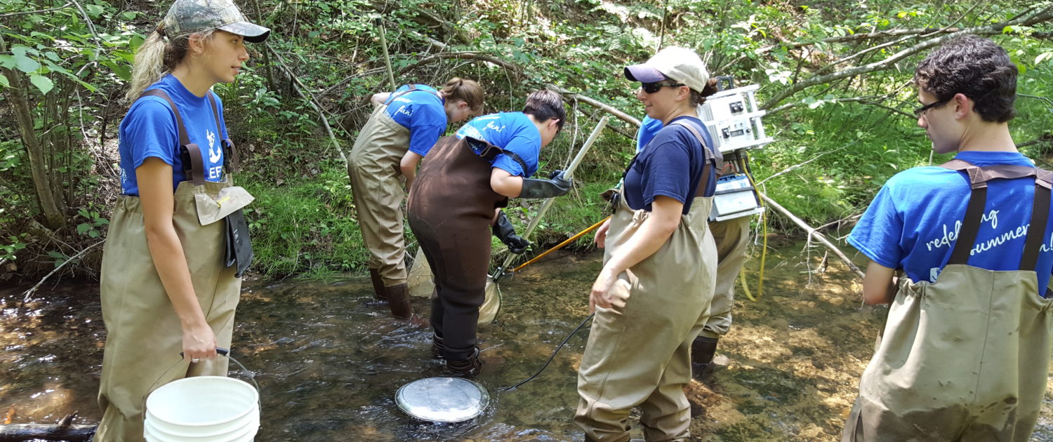 Collecting samples with nets during the Natural Resources Camp