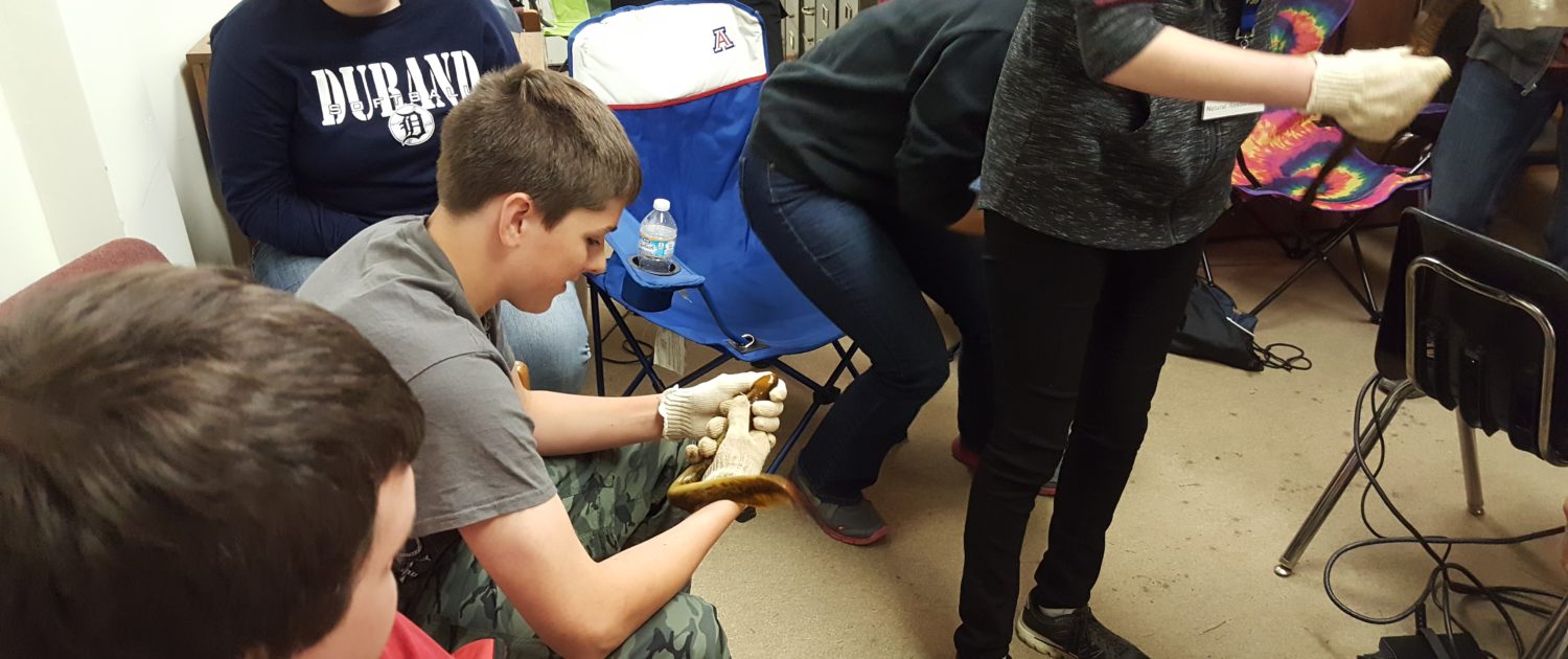 Examining the samples collected