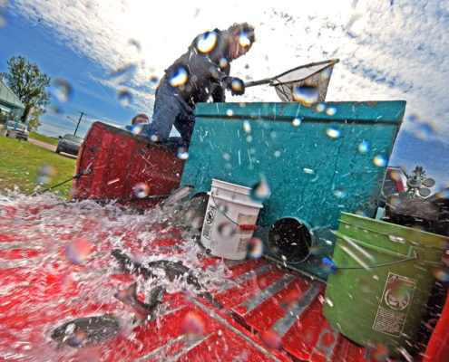 Aquatic Research Lab lends a hand with Sault trout pond