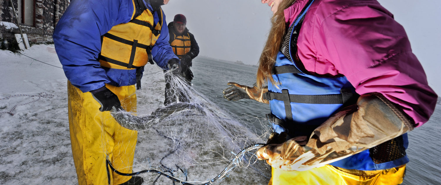 Students collect Atlantic Salmon with ARL Manager Roger Greil