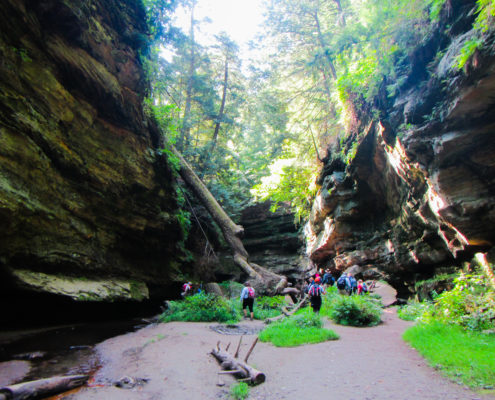 Turkey Run State Park, Indiana