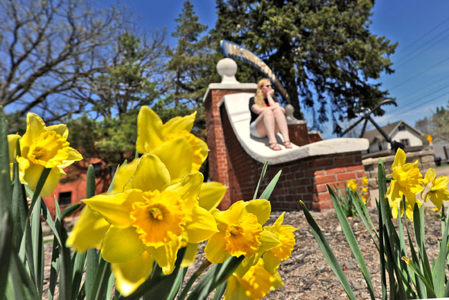 Spring campus scene for news release