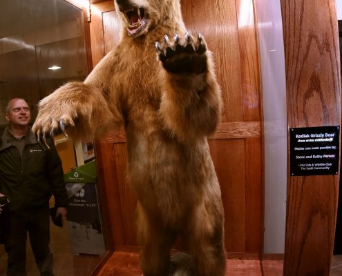 Crawford Hall Kodiak Bear