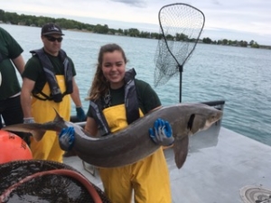 Amanda Popovich, LSSU student intern, displays a Lake Sturgeon captured while sampling