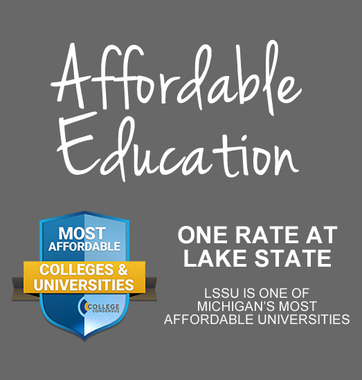 Dissertation michigan state university zip