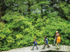 Image of People on Boardwalk