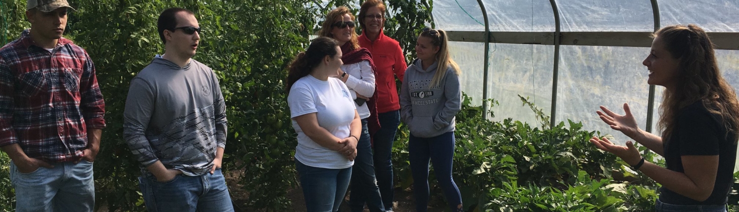 Les Cheneaux students selecting produce at the farm