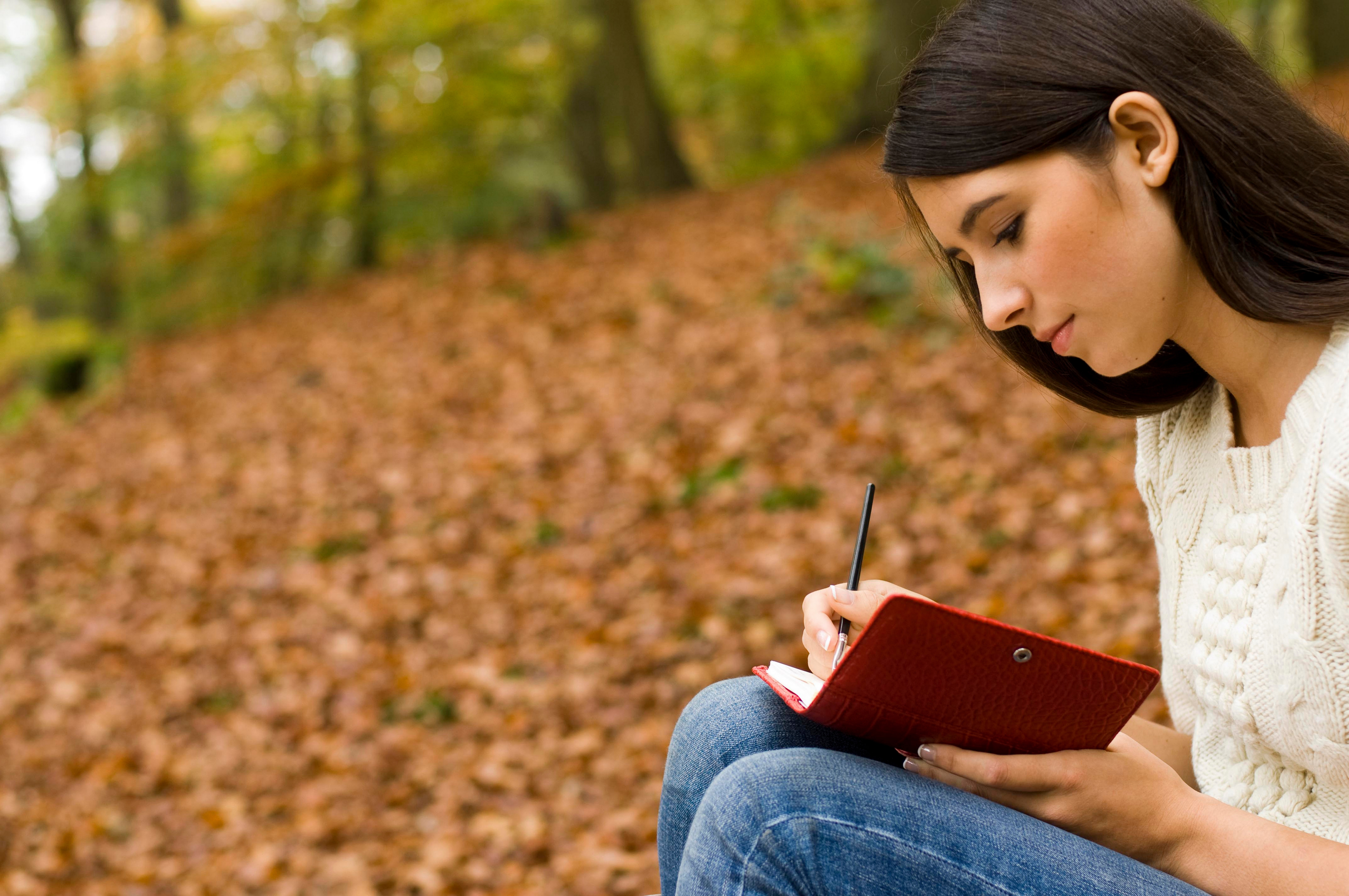 High School Author