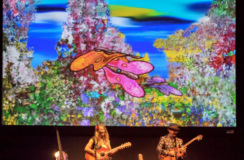 Landscape of Guitar performers