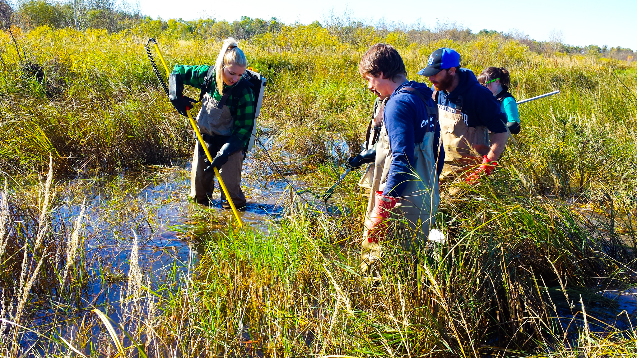 students in marshlands