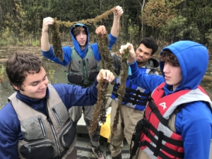 Four male students are standing on a boat holding long strands of bladderwort, an aquatic plant, just caught from the water.