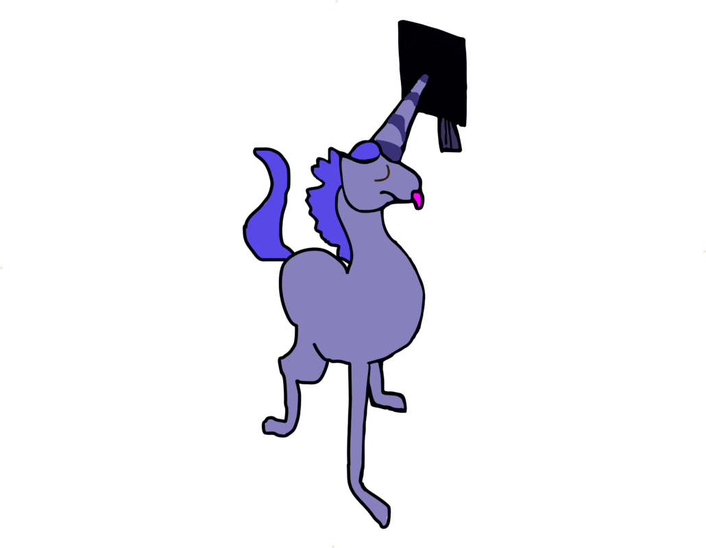 Unicorn grad1