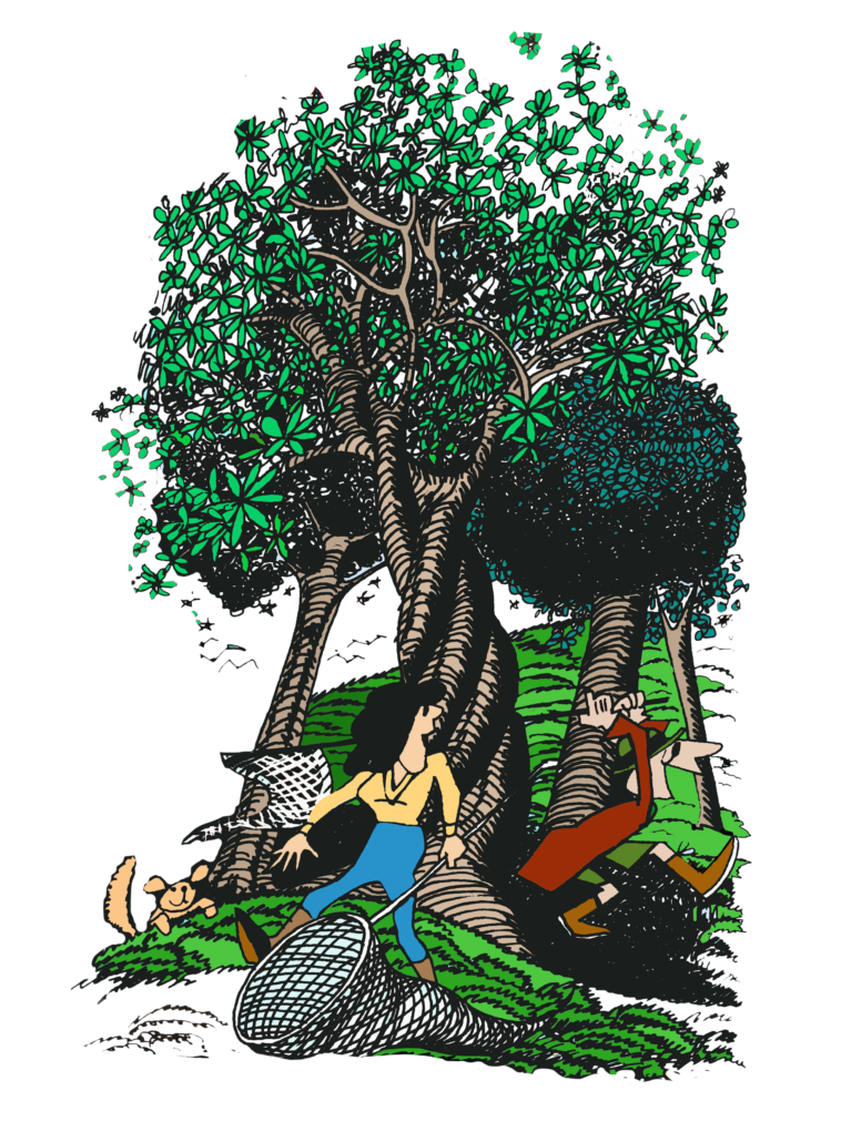 unicorn hunters with nets
