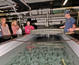 Hatchery Tour