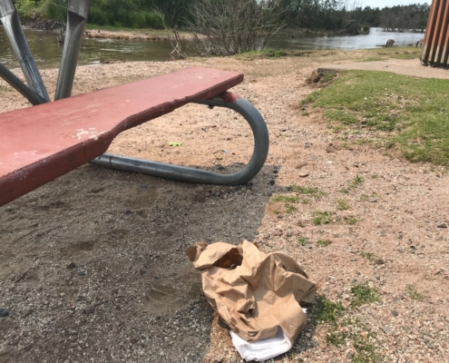 shoreline litter