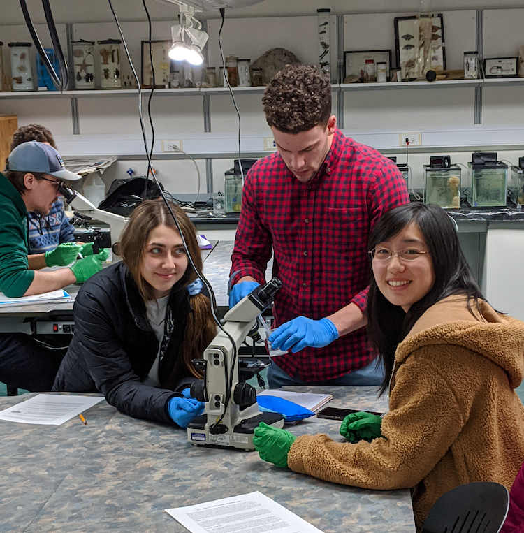 biology students in lab