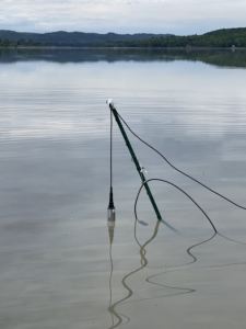 Oil pollution sensor in position