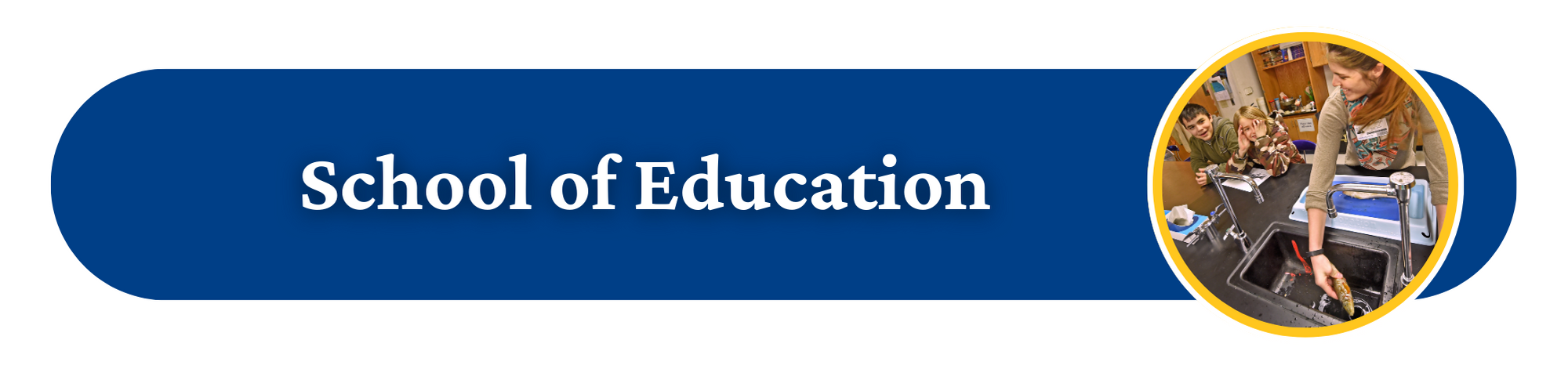 School of Education Button