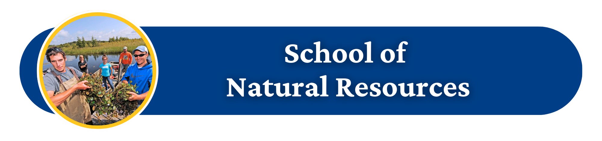 School of Natural Resources Button