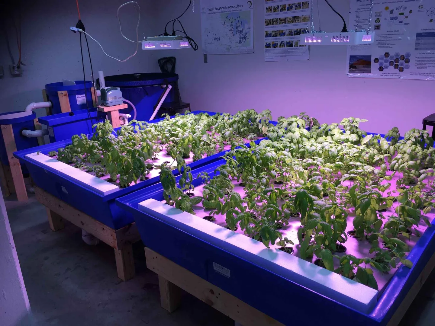 Aquaponics Lab