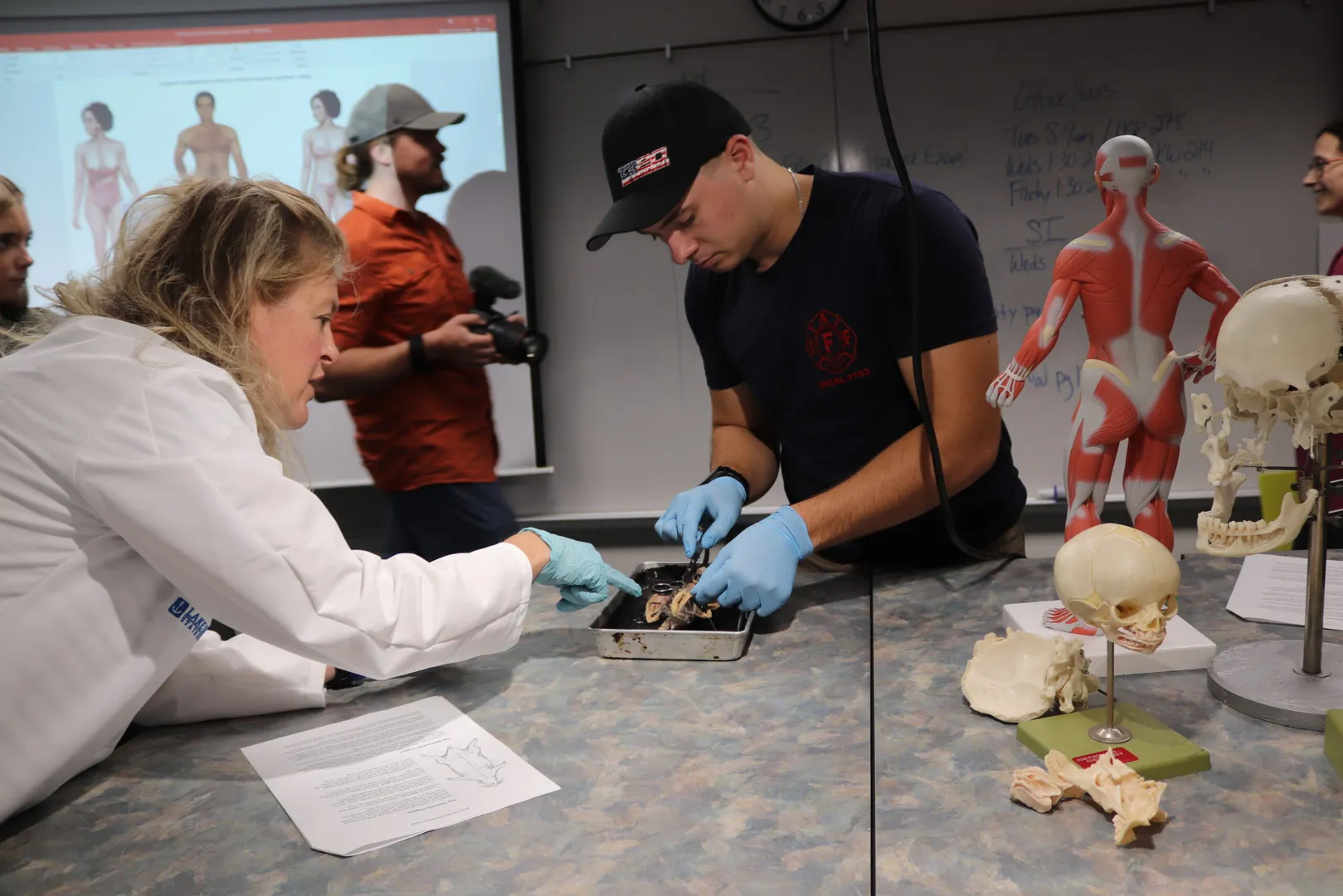 Student dissecting a frog
