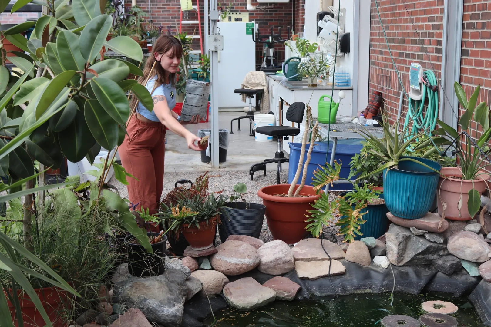 Students in greenhouse