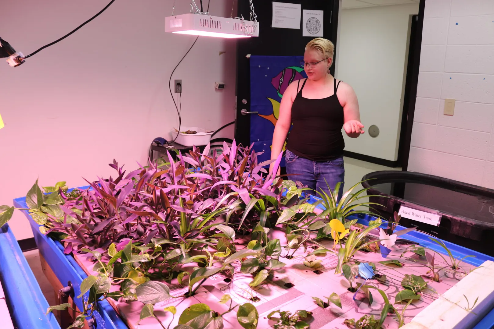 Students growing plants