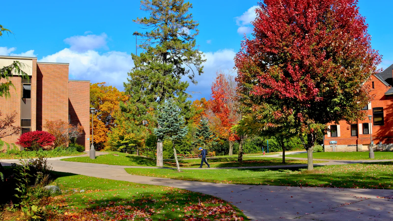 Student walking through campus