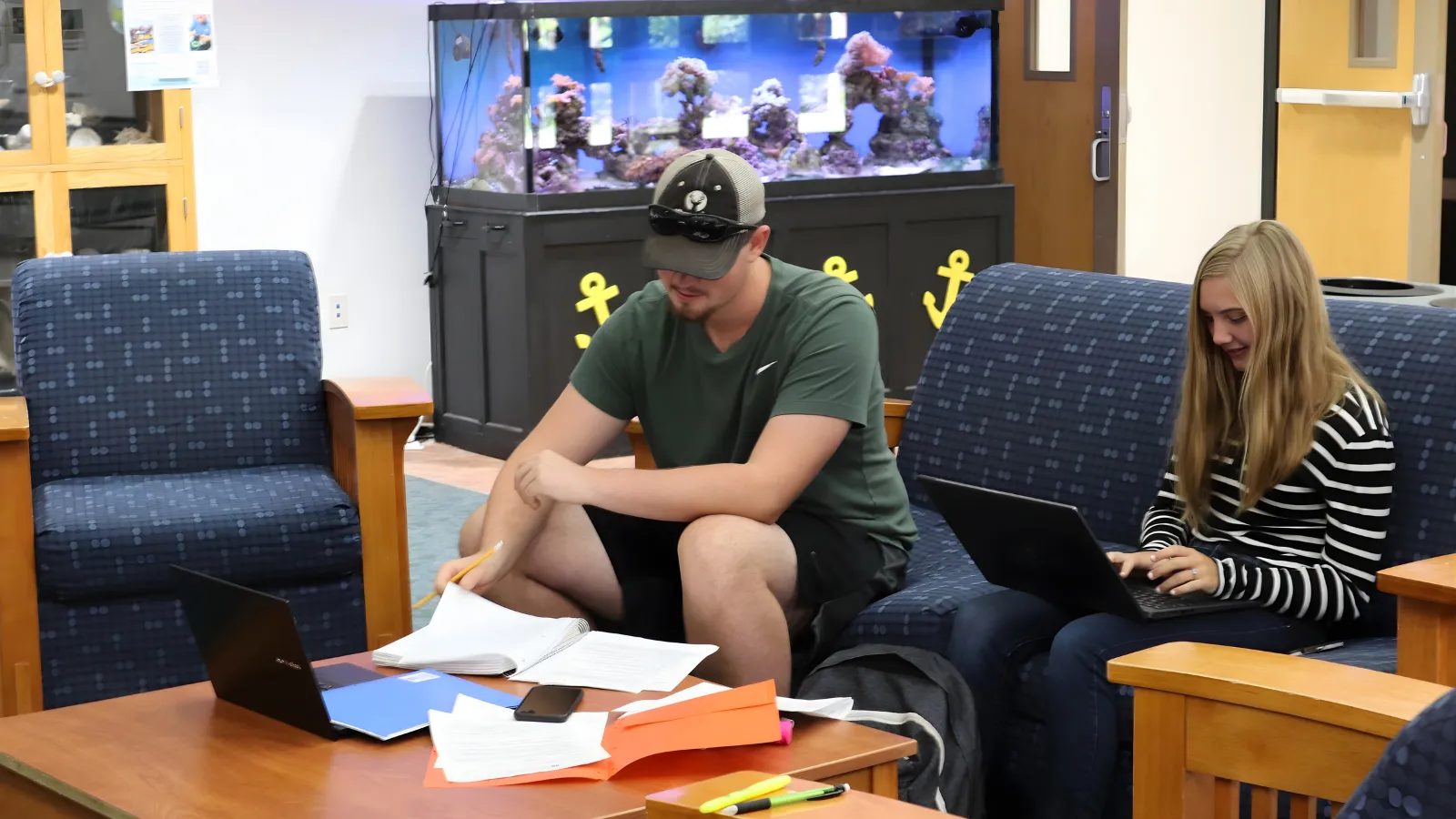 Students studying on campus