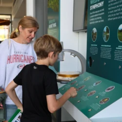 Parent and younger sibling of incoming student interact with bird display at the Center for Freshwater Research and Education.