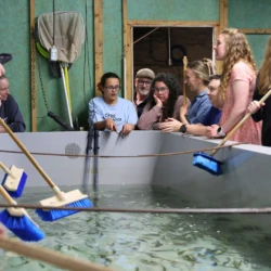 LSSU community members, including University President Dr. David Travis, gather around a tank, using blue brooms to encourage and sweep the fish into the release drain.