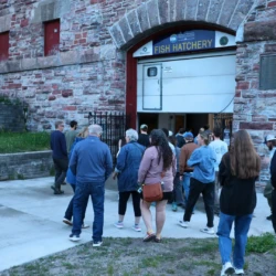 Community members walking into the Fish Hatchery entrance prior to LSSU's Atlantic Salmon release.