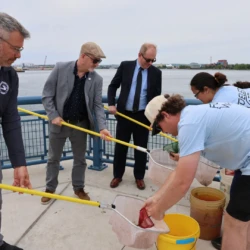 Representatives hold out nets as CFRE ambassadors stock them with Salmon for the ceremonial first release.